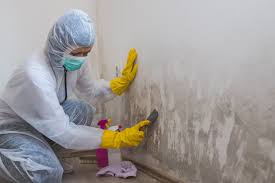 Best Mold Prevention Services  in Cape Coral, FL